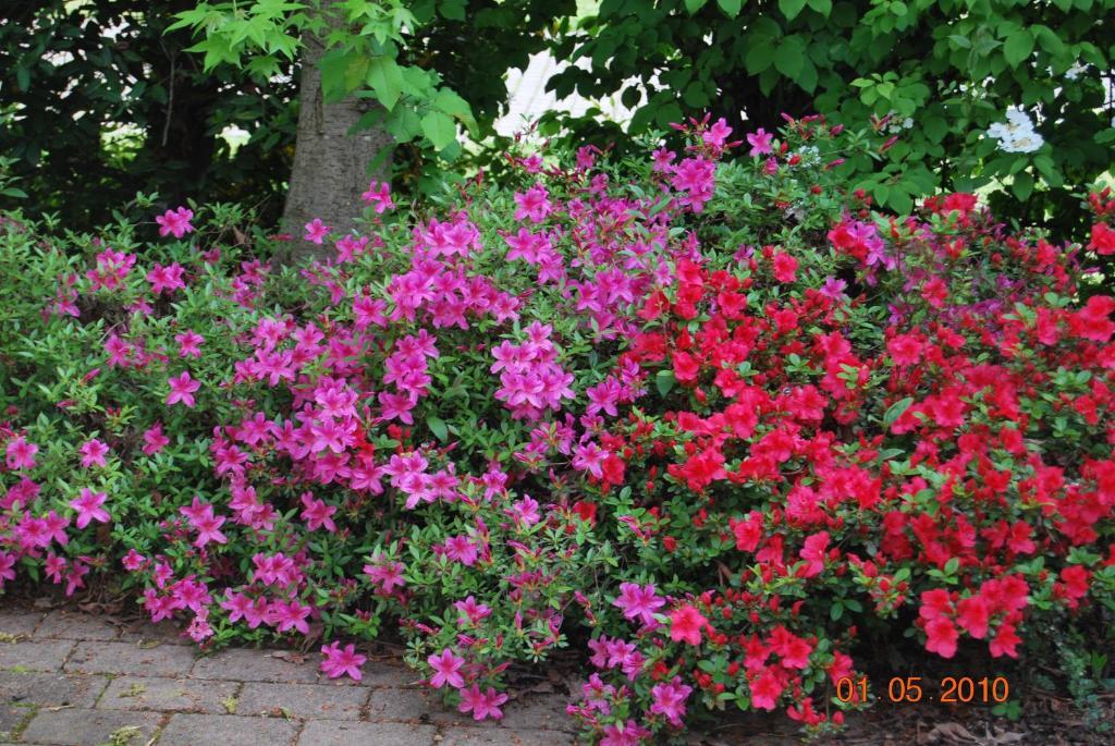 ホテル Vecchia Brianza Seveso 部屋 写真